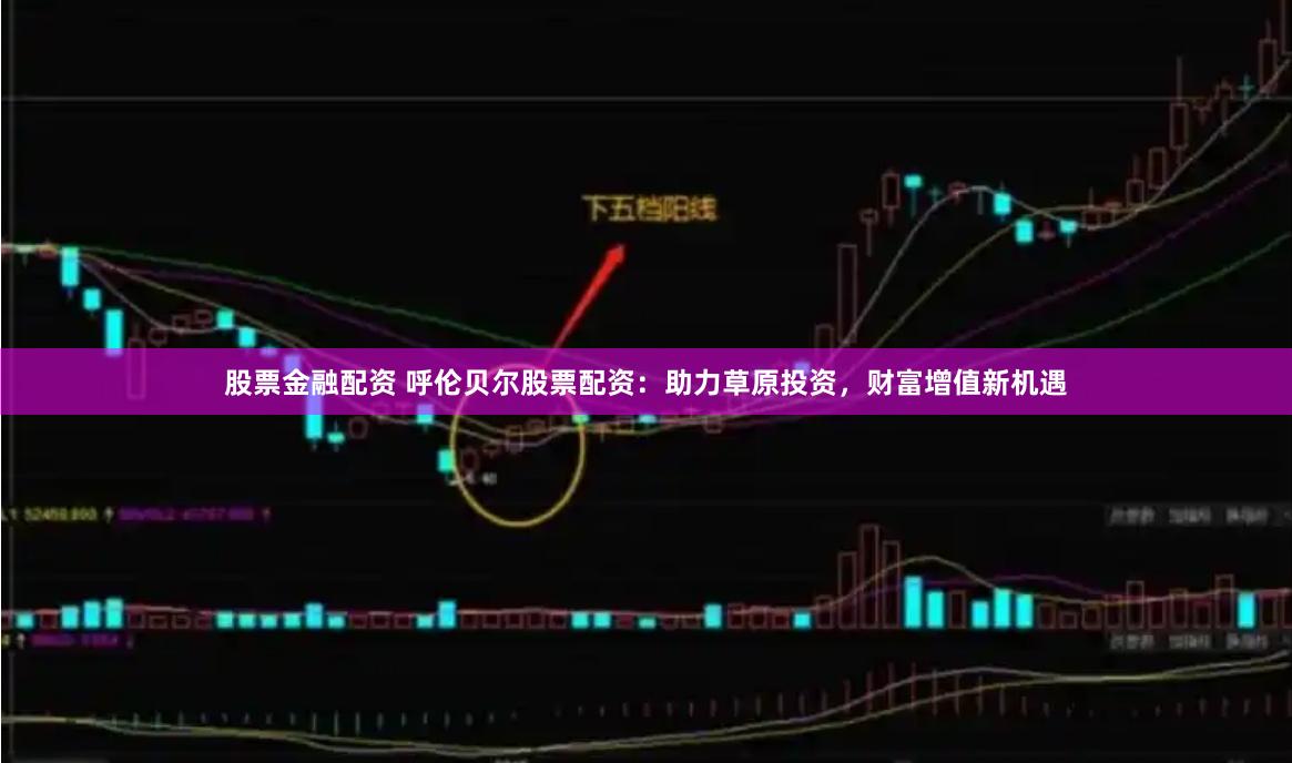 股票金融配资 呼伦贝尔股票配资：助力草原投资，财富增值新机遇